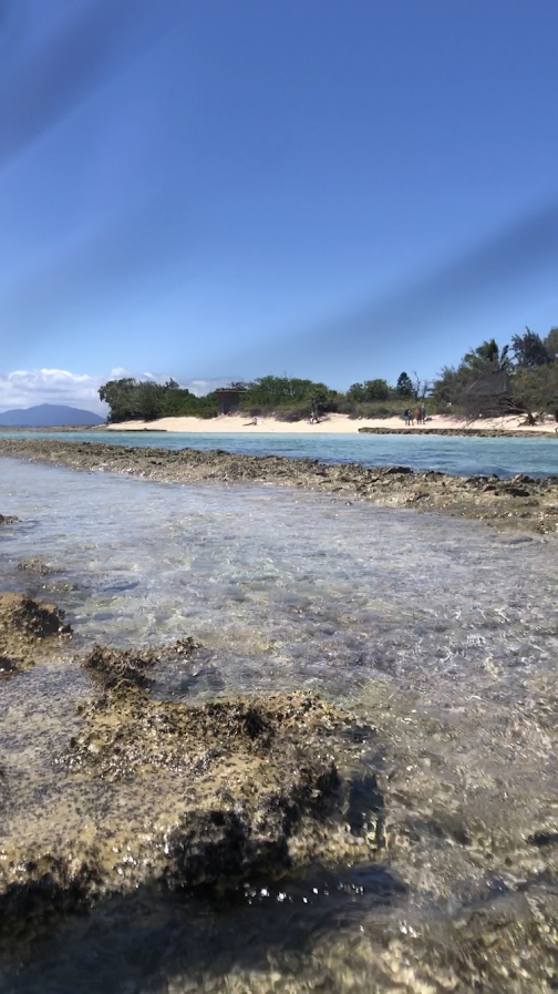 ラレネール島の写真